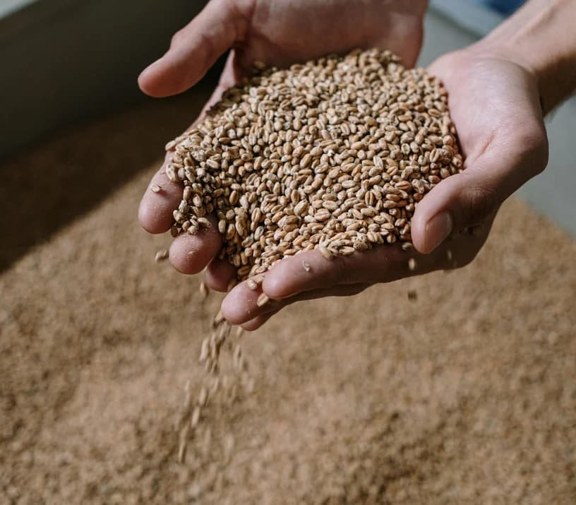 Industrie agroalimentaire