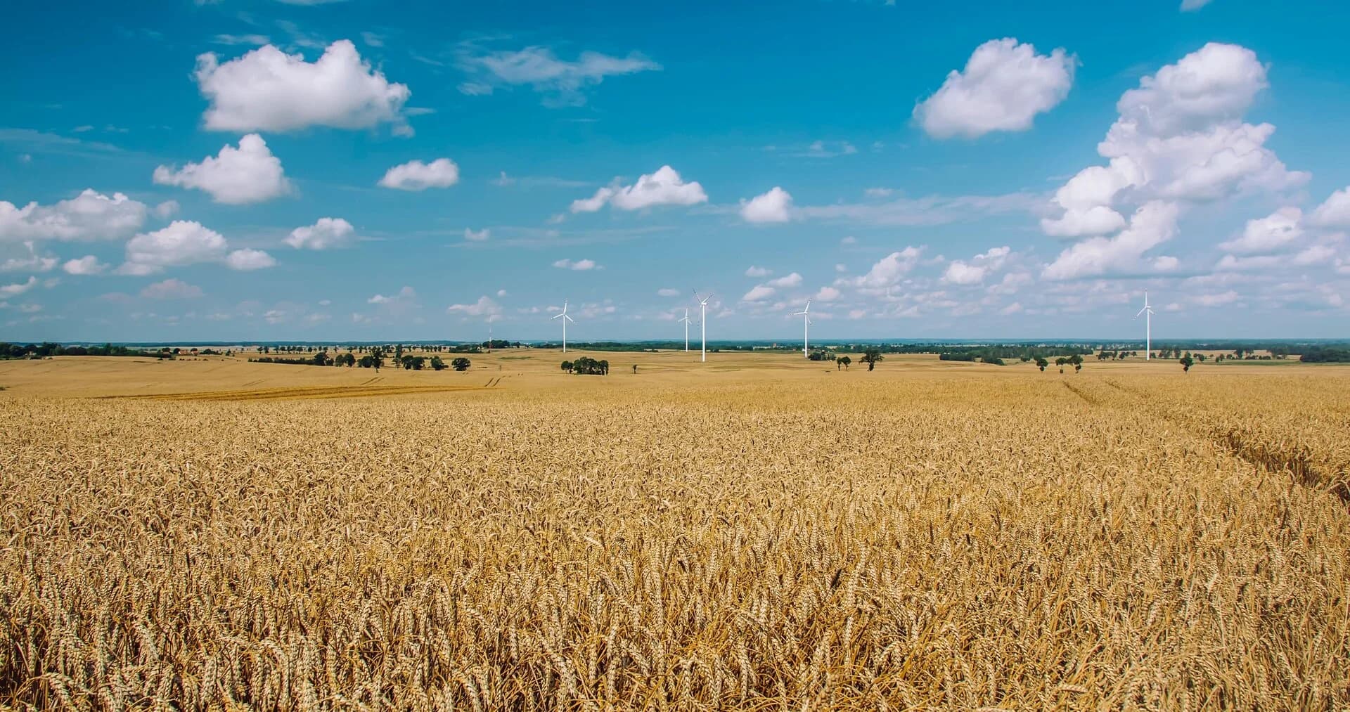 Produits agricoles et approvisionnement international