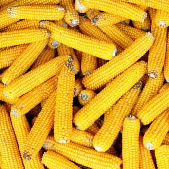 Industrie alimentaire