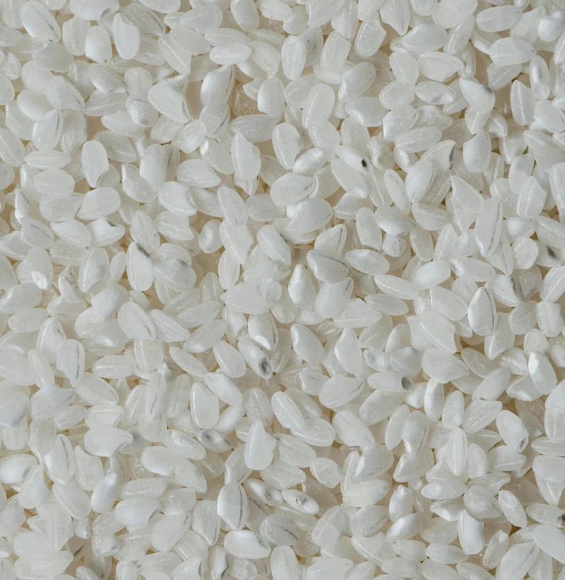 Présentation du riz