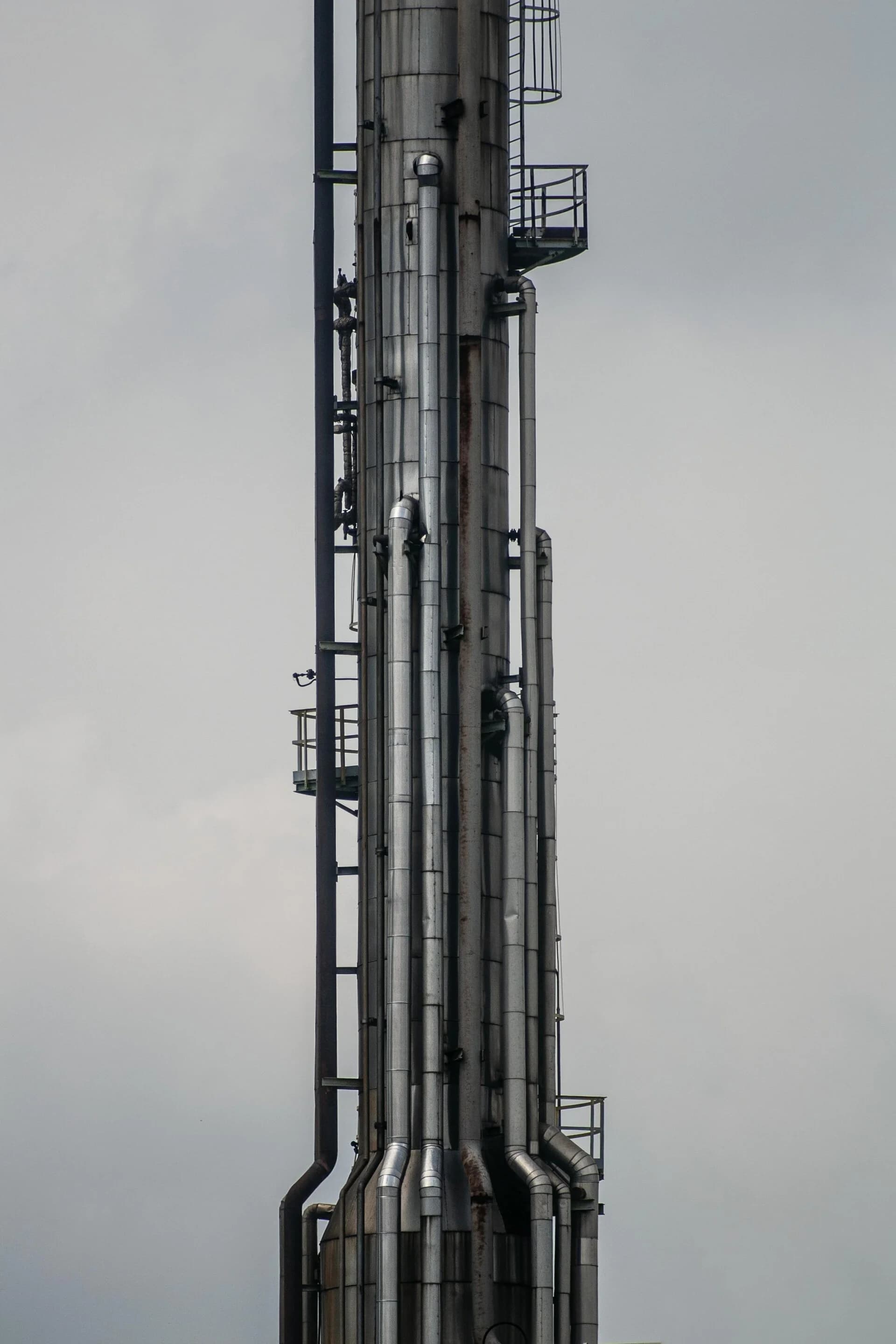 D6 Virgin Fuel